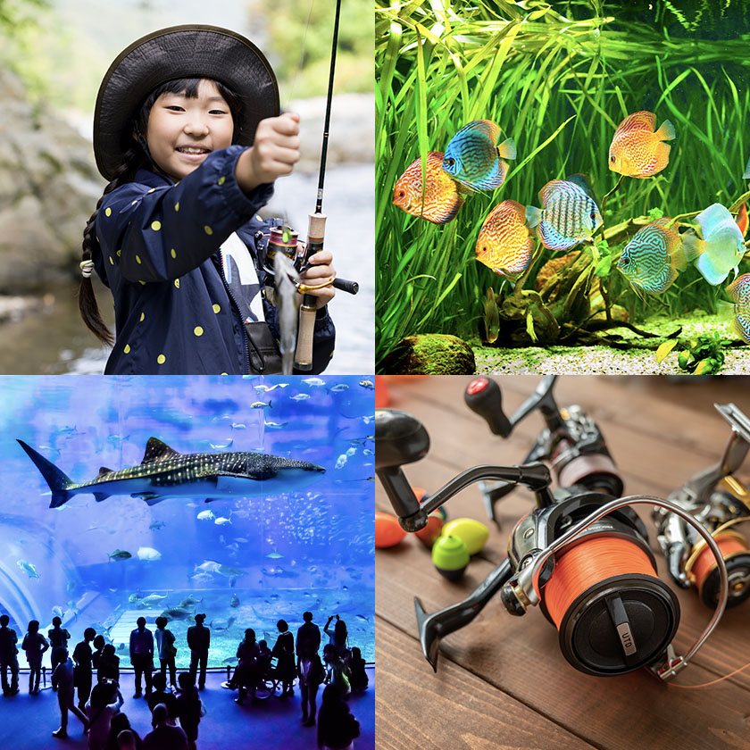 さかなの魅力を体感、発信する