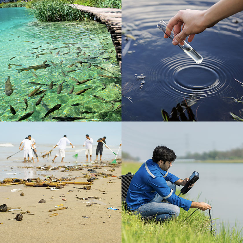 ヒトとさかなの共生を目指す